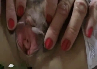 Twisted MILF shows her hairy outie cunt